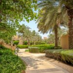Indoor Plants & Landscaping in dubai
