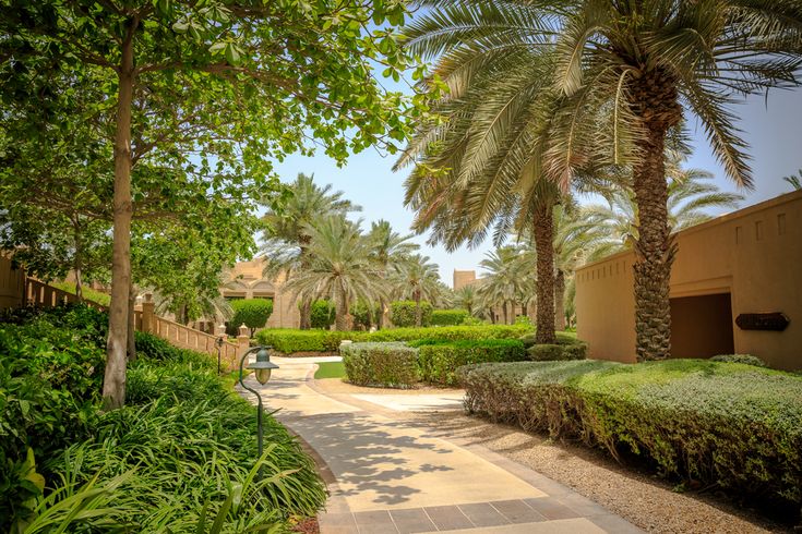 Indoor Plants & Landscaping in dubai